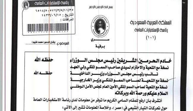 ویکی‌لیکس: نگرانی عربستان از فعالیت شیعیان مصر