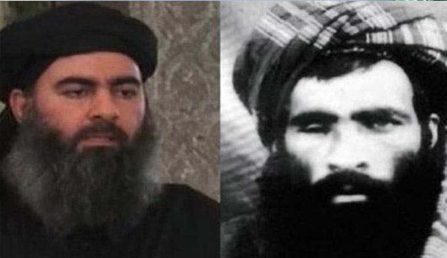 افغان يهددون ببيعة البغدادي ان لم يظهر الملا عمر