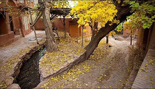 صور رائعة من قرية 