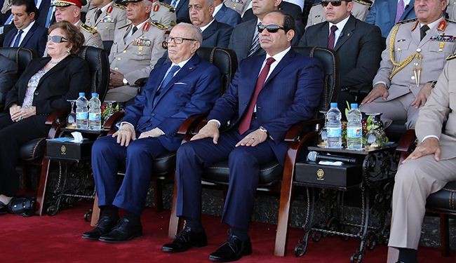 إئتلاف القوي الوطنية بالقاهرة يدعم الجيش السوري