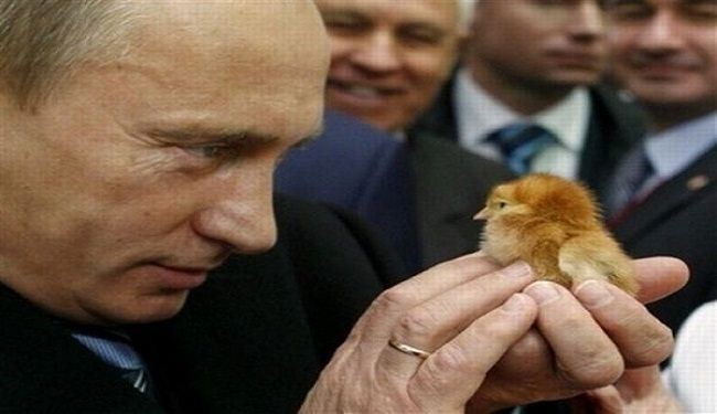 بوتين: أنا حمامة ولكن بجناحين من حديد!
