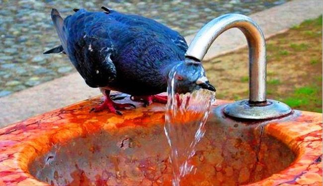 گرما در سال 2070 با ما چه می کند؟