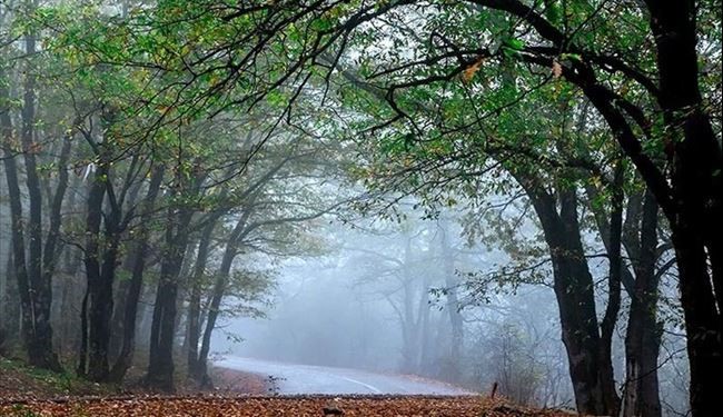 تصاویری زیبا از طبیعت پاییزی جنگل‌های ایران