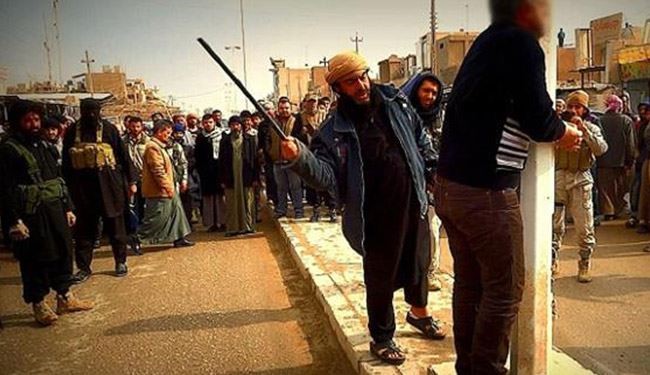 جديد 