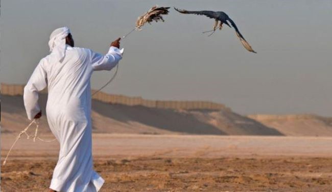 شکارچیان قطری در صحرای نجف چه می کردند؟