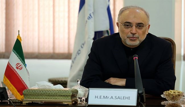 صالحي: سيتم إرسال خطة نشاطات ايران النووية إلى الوكالة