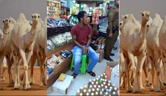 الشرطة تقبض على بياع 
