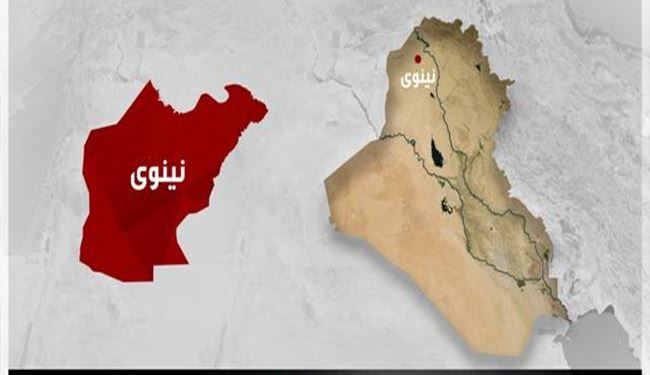 ماذا فعلت 