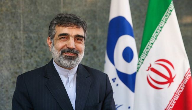 كمالوندي: ایران خاضت معترکا سیاسیا عبر المفاوضات النوویة