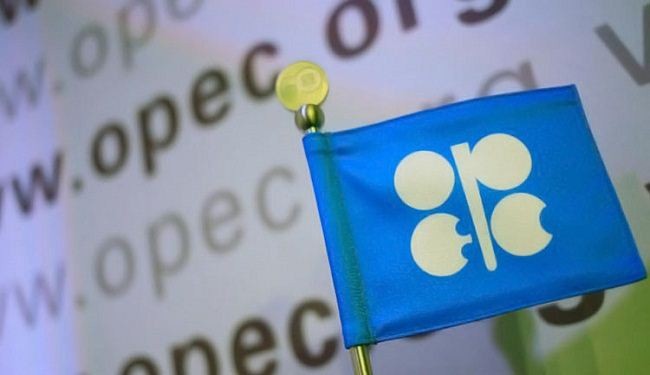 خام سلة 