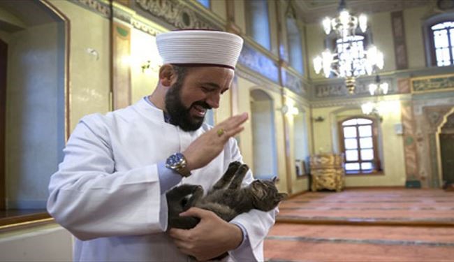 امام جماعت دوست گربه ها!+تصاویر