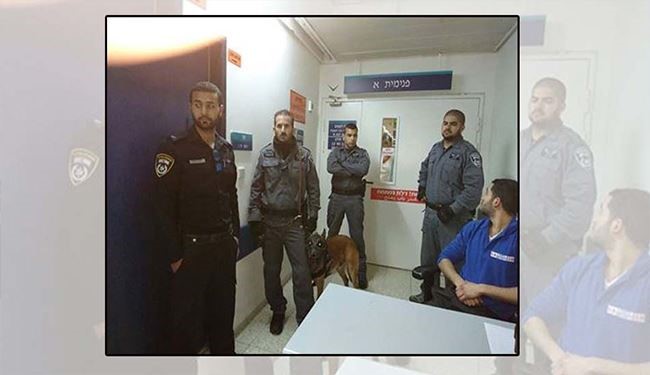 وحدات صهيونية وكلاب بوليسية تقتحم مستشفى العفولة
