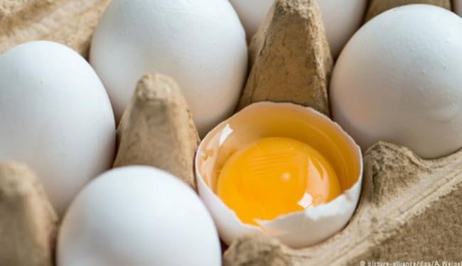 هكذا تحافظ على بيض طازج وصحي لمدة طويلة
