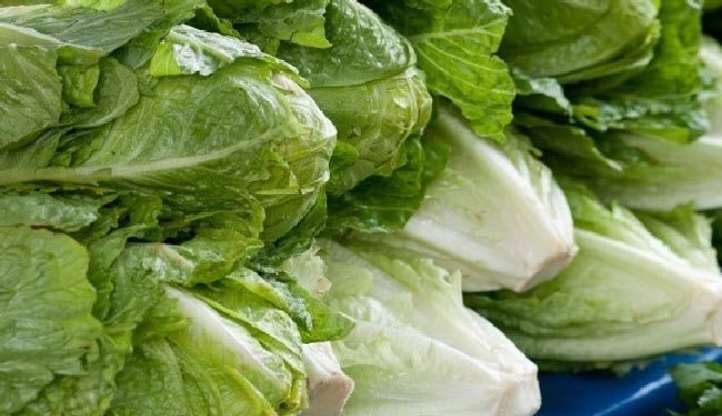 10 فوائد صحية مذهلة للخس لا تجعله يفارق مائدة طعامك