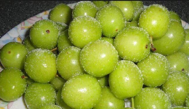 فاكهة خضراء ذات فوائد مذهلة... فما هي؟