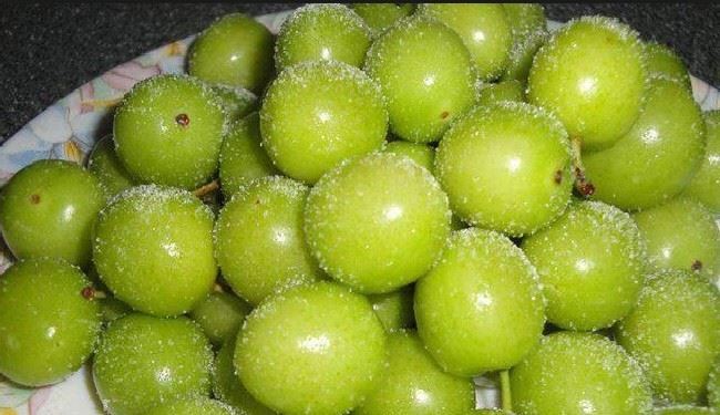 نوبرانه ای با خواص شگفت انگیز