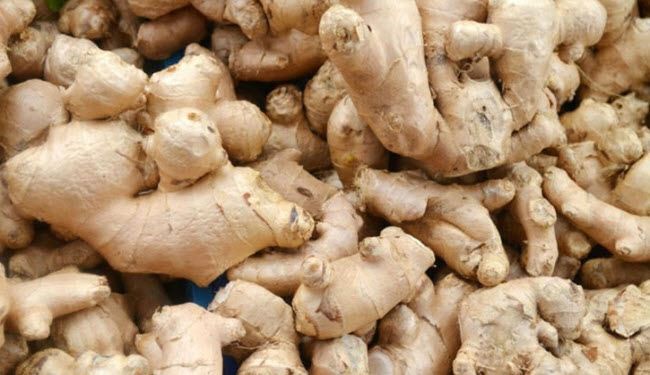 6 أعشاب تحارب معك السرطان