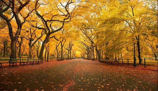 نقاشی خدا در طبیعت