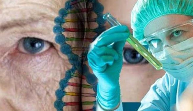 كم تدفع للبقاء سنة إضافية على قيد الحياة؟