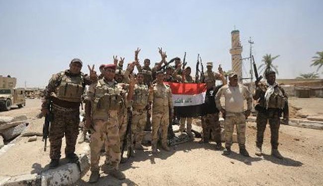 بالصور.. الكرمة تخلع رايات 