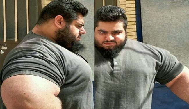 لست جلاد 