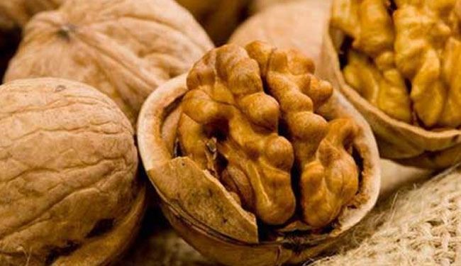 إكتشاف فائدة مذهلة للجوز!