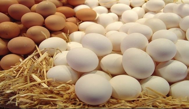 9 معلومات وحقائق غريبة جداً عن البيض!
