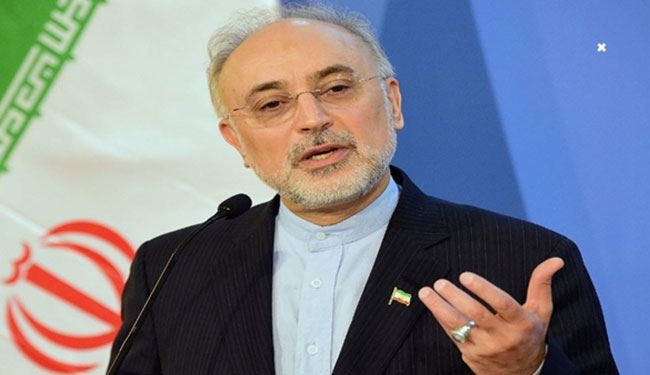 صالحي: ايران تشارك بجد في المشروع الدولي للانصهار النووي