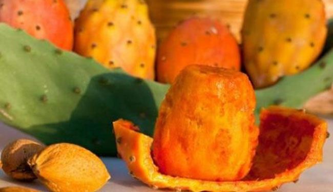 اقرأ الخبر؛ ولن توقف عن اكلها طيلة حياتك
