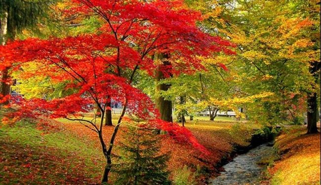 تصاویری بسیار زیبا و دیدنی از دل طبیعت