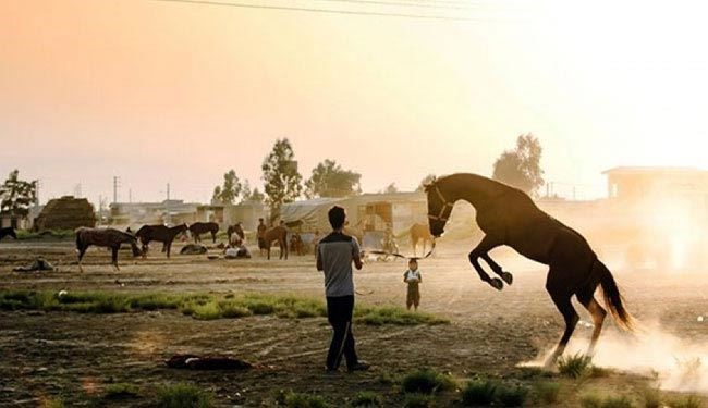 جائزة أفضل فيلم وثائقي في مهرجان نیویورك الدولي لفيلم ايراني