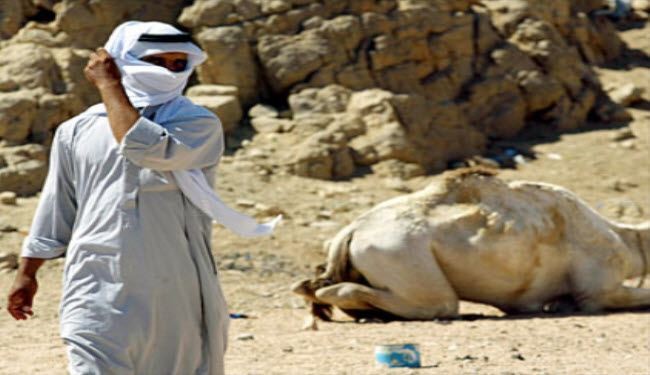 كيف ردت قبائل جازان على استفزازات آل سعود لهم؟