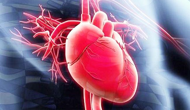 حقائق قد لا تعرفها عن قلبك ودمائك