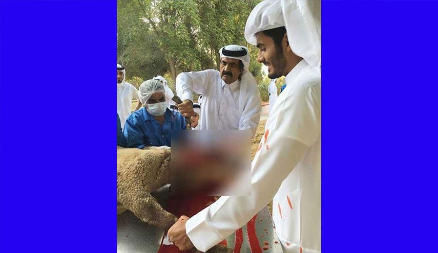 صورة أمير قطر السابق وهو يذبح خروفا تثير جدلا على الشبكة العنكبوتية
