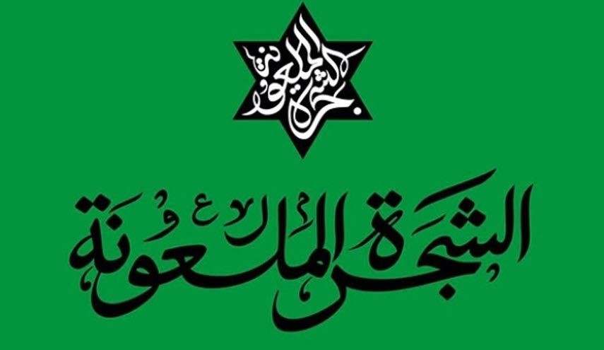 لماذا استخدم آية الله خامنئي اصطلاح 