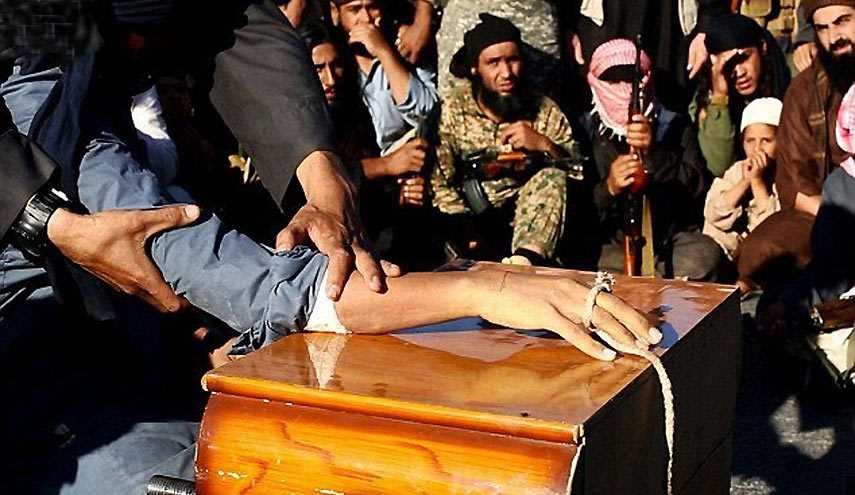 بالصور؛ 