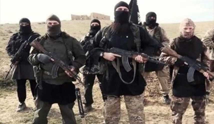 عودة أكثر من 100 متطرف بوسني من سوريا