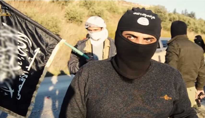 تنظيم 