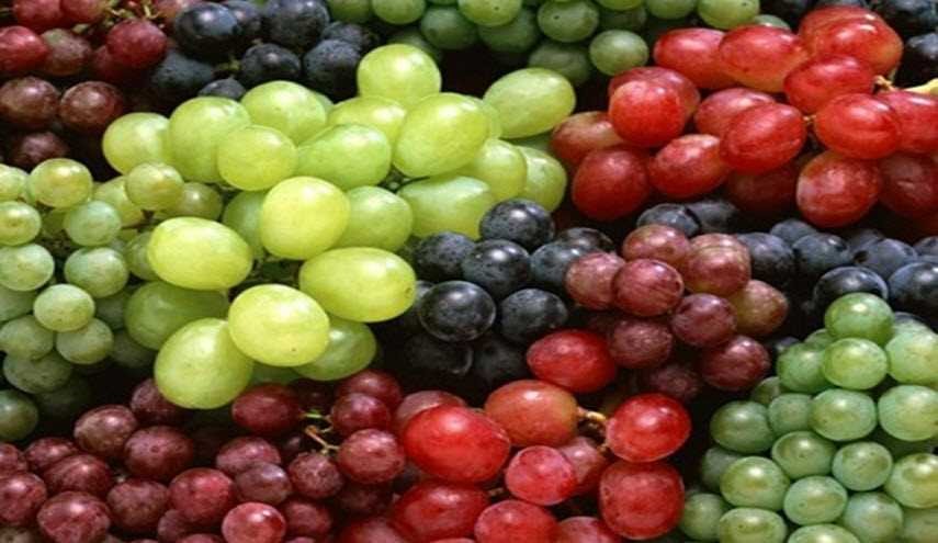 مركب طبيعي في العنب يساعد في التوازن الهرموني لدى النساء