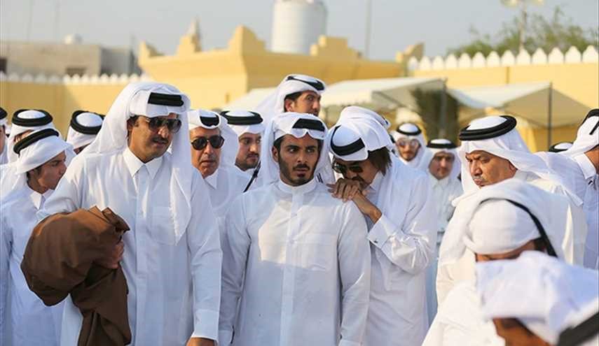 بالصور .. 