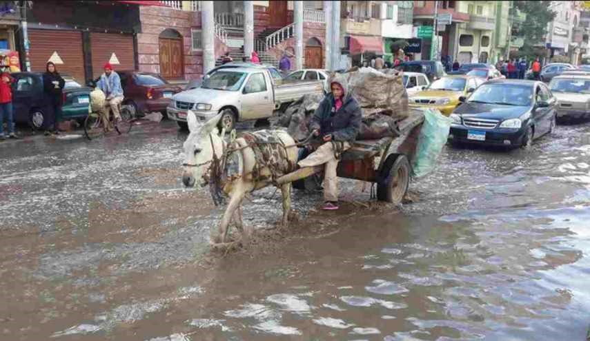 السيول تقتل وتصيب عشرات الأشخاص في مصر