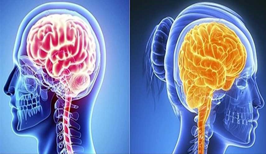 من الأقوى ذاكرة؟ الرجل أم المرأة..