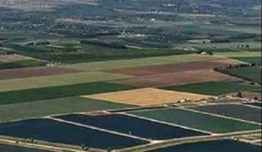 جمال الطبيعة البكر في سهل الغاب بسوريا ...
