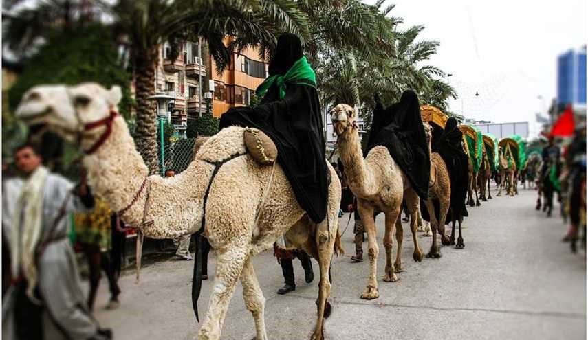 بالصور ...وصول زوار الإمام الحسين ( ع ) إلى كربلاء المقدسة