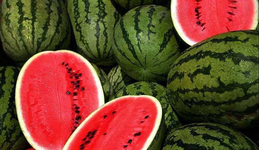 طريقة فريدة لحفظ البطيخ لمدة ستة أشهر كاملة دون أن يفسد!