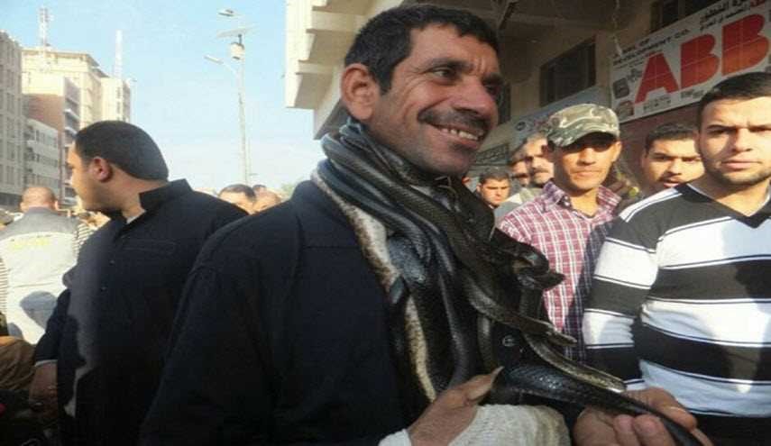 بالصور... 