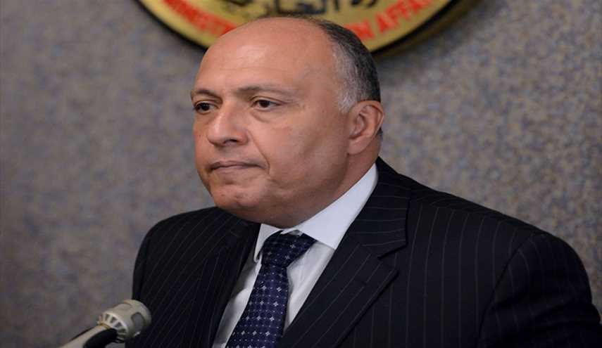 وزير الخارجية المصري يؤكد التزام بلاده بوحدة سوريا والحفاظ على الدولة