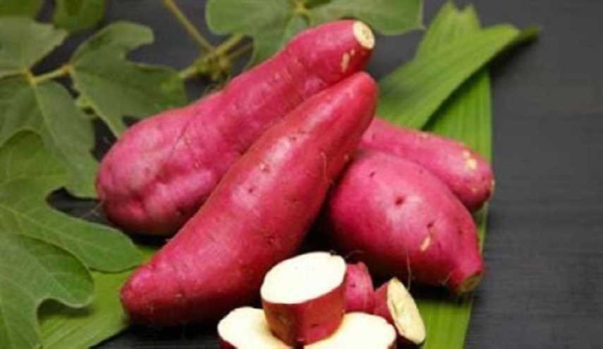 للباحثين عن الرشاقة.. إليكم هذا الغذاء الفعّال