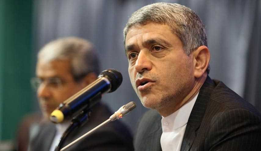 طیب نیا: ایران بالاترین نرخ رشد اقتصادی منطقه را دارد