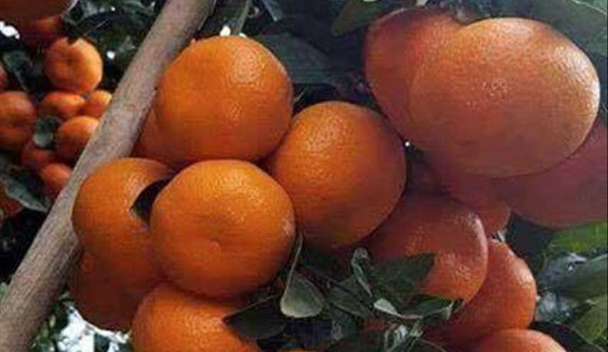 من بركة الله ...